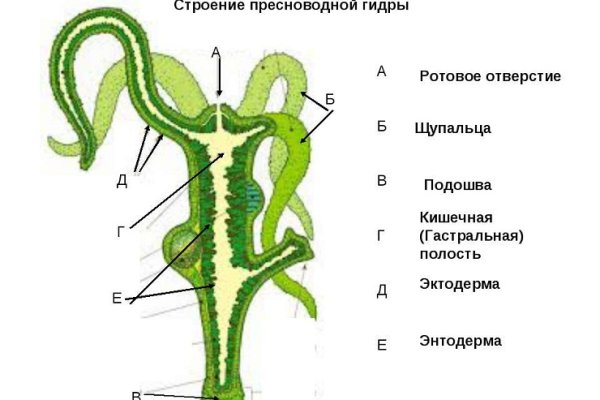 Kra40.cc Вход на сайт главная страница