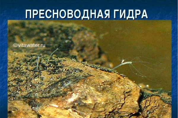 Кракен даркнет ссылка для тор