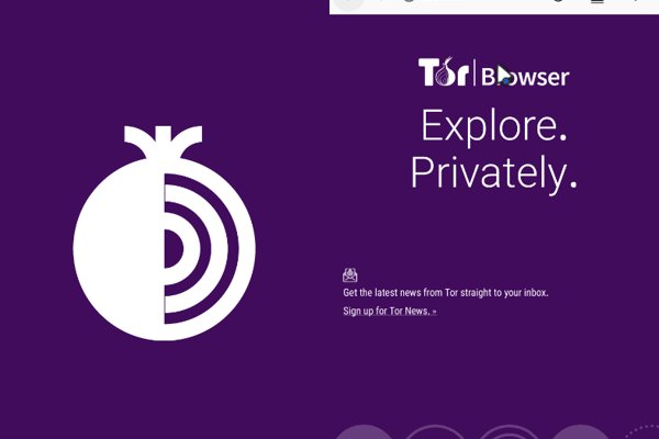 Kraken официальные зеркала