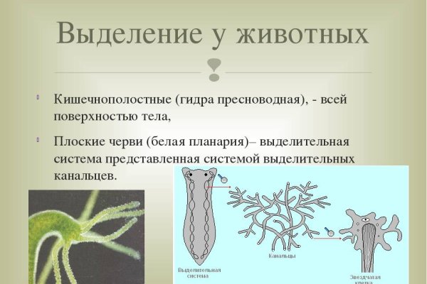 Кракен что можно купить