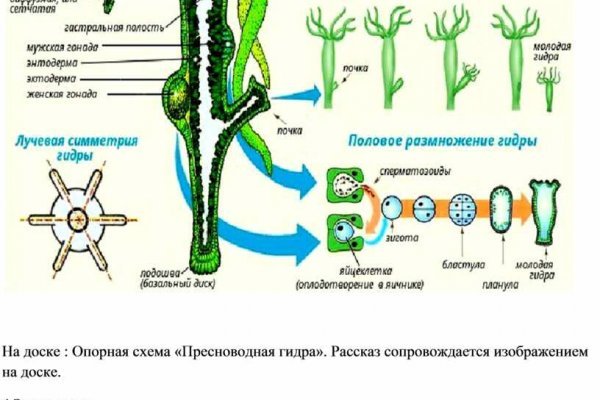 Кракен ссылка pw