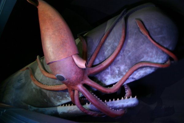 Кракен сайт ссылка kraken dark link