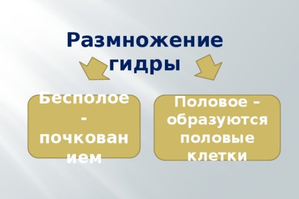 Кракен не работает сайт
