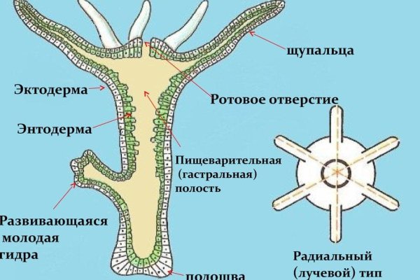 Кракен маркет даркнет только через стор