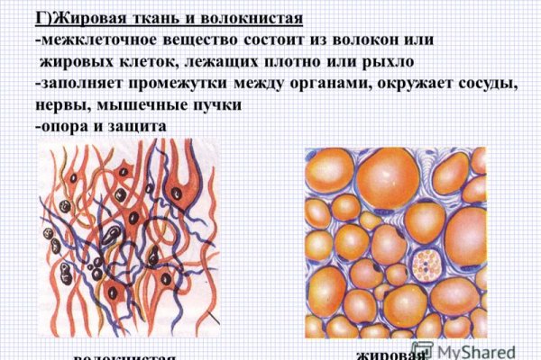 Рабочие ссылки и зеркала кракен