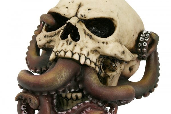 Kraken 22 аt