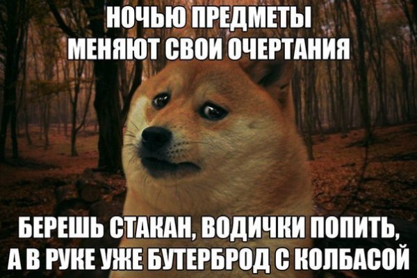 Как войти в кракен через тор